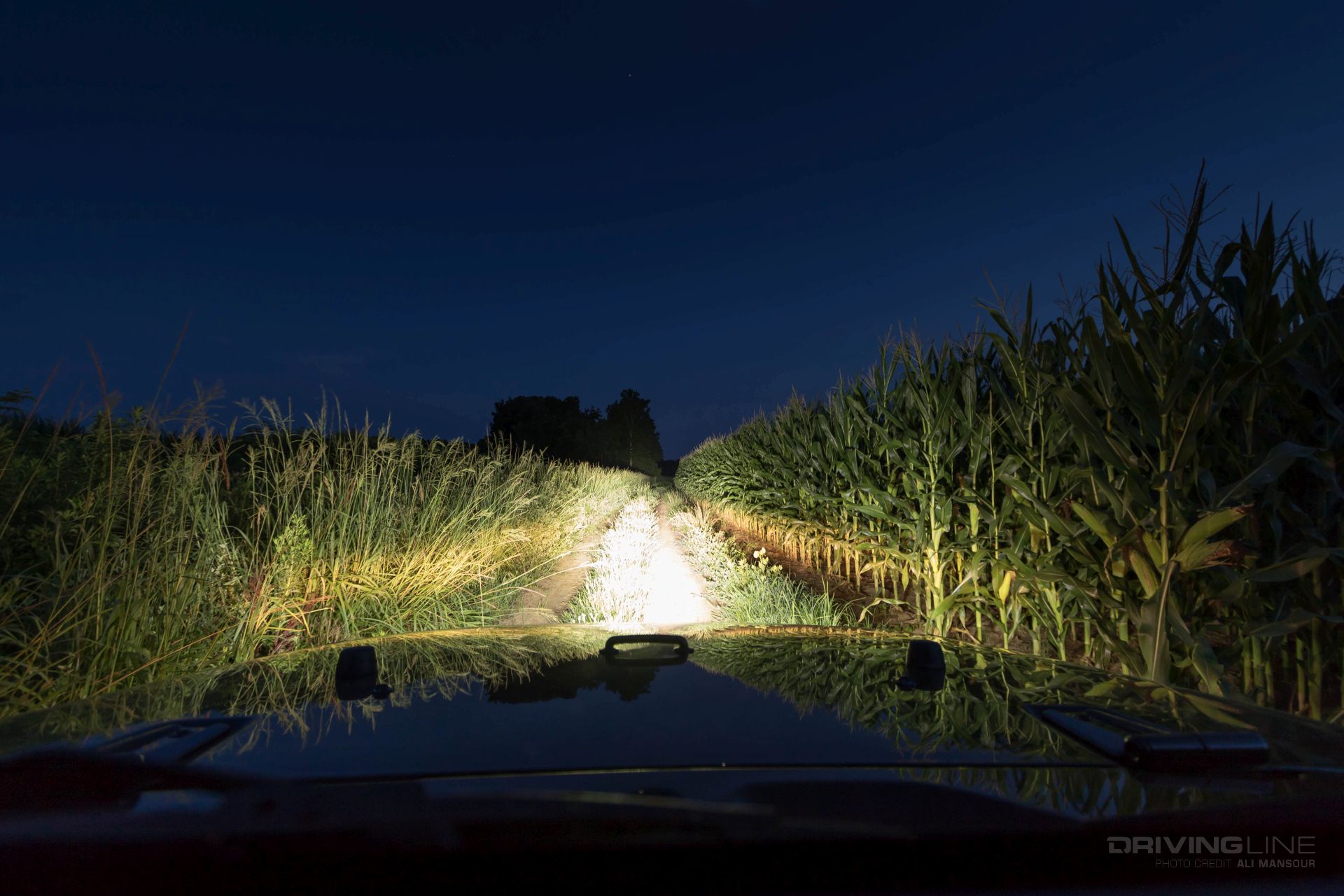 ARB Intensity LED Lights corn field night shot