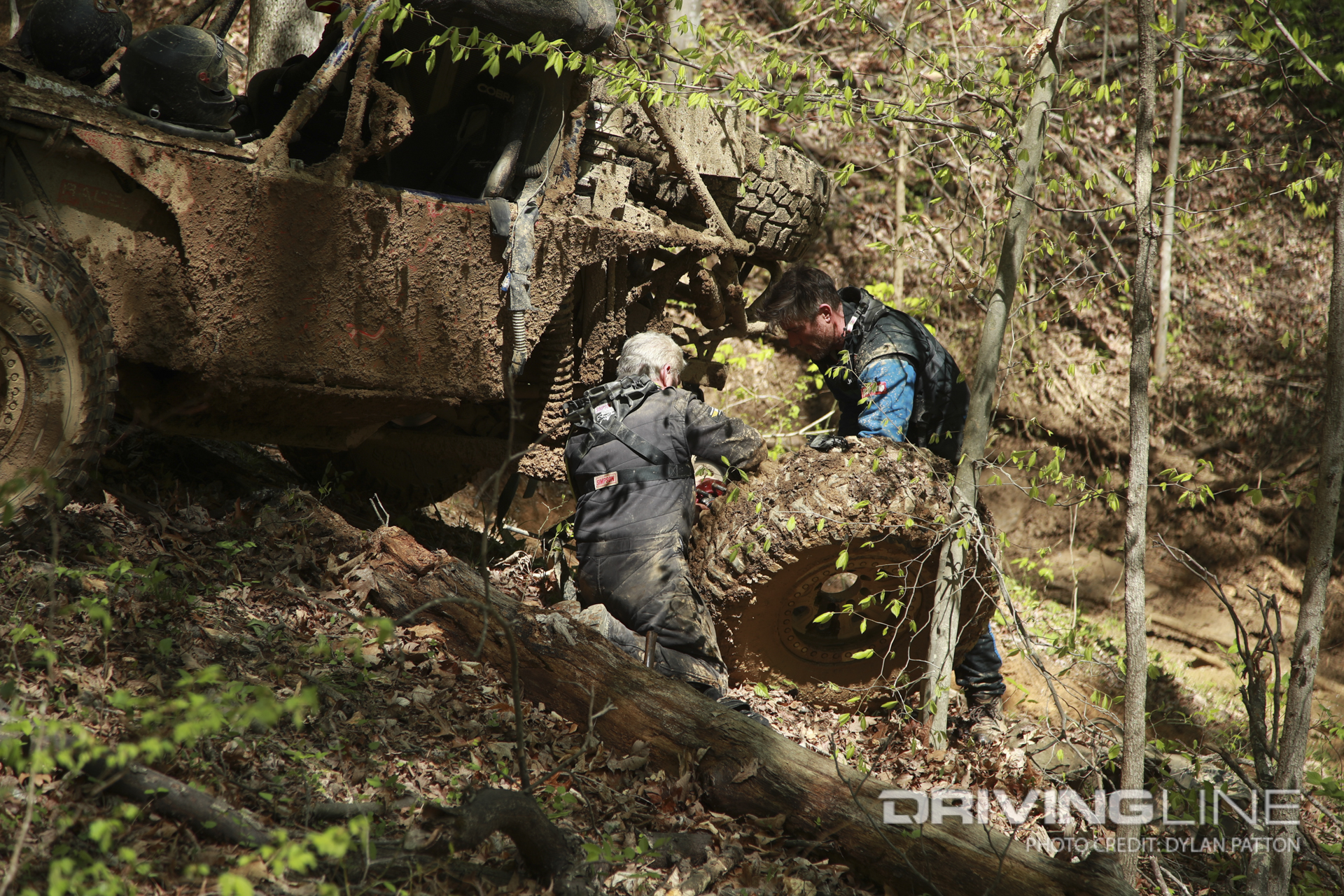 Trees played a role in sending races home who pushed to hard