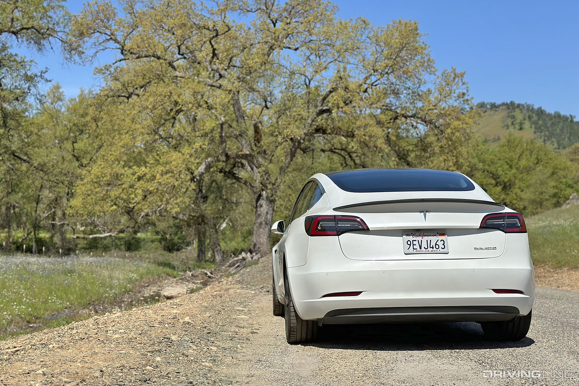 Tesla Model 3 Performance Rear View