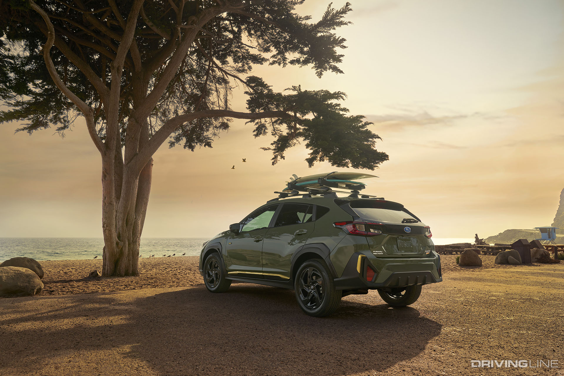 2024 Subaru Crosstrek Sport Green Rear View