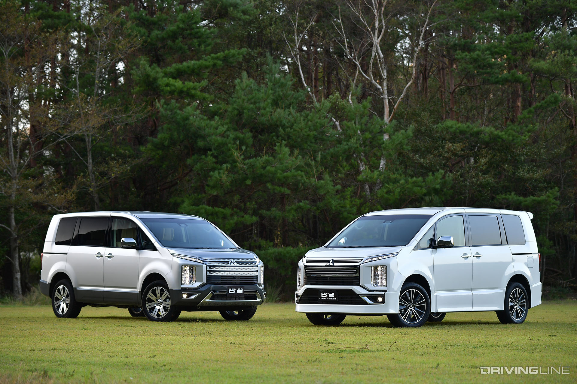 Delica D:5 White and Silver